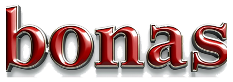 bonas logo